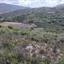 10703 SQM Land for sale in Pachna, Limassol thumbnail 16294669