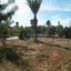4 bedroom detached house for sale strovolos nicosia 1153167 thumbnail 12676507