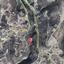 land for sale vasa kilaniou limassol 946167 thumbnail 16009910