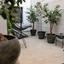 studio mixed use project for sale agia zoni limassol 7545167 thumbnail 10300104