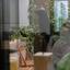 studio mixed use project for sale agia zoni limassol 7545167 thumbnail 10300109