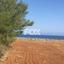 10374 SQM Land for sale in Nea Dimmata, Paphos thumbnail 10032729
