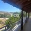 4 bedroom detached house for rent agios ambrosios limassol 8844267 thumbnail 17104803