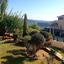 4 bedroom detached house for sale germasogeia limassol 1684367 thumbnail 4402281