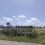 land for sale timi paphos 8959367 thumbnail 17780903