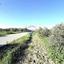 land for sale athienou larnaca 8322467 thumbnail 14911744