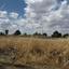 land for sale mathiatis nicosia 8700467 thumbnail 16225112