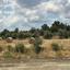 land for sale mathiatis nicosia 8700467 thumbnail 16225113