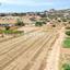 land for sale peyia paphos 7812467 thumbnail 10640090