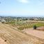 land for sale peyia paphos 7812467 thumbnail 10640091