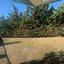 3 bedroom semi detached house for sale agia varvara nicosias nicosia 8345567 thumbnail 14576981