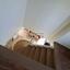 4 bedroom detached house for sale anglisides larnaca 8804567 thumbnail 16794674