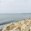 3 bedroom bungalow for sale larnaca municipality larnaca 7905667 thumbnail 15807650