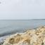 3 bedroom bungalow for sale larnaca municipality larnaca 7905667 thumbnail 17143825