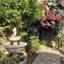 4 bedroom detached house for rent oroklini larnaca 7985667 thumbnail 15614806