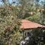 4 bedroom detached house for sale pyrgos limassol limassol 7555667 thumbnail 10311427