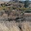 land for sale agrokipia nicosia 945667 thumbnail 15602178