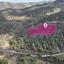 land for sale fikardou nicosia 1537667 thumbnail 3814751