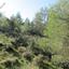 land for sale psevdas larnaca 8726667 thumbnail 16333268