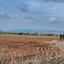 land for sale avgorou famagusta 7879767 thumbnail 16015836