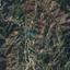 land for sale farmakas nicosia 1890767 thumbnail 7138818
