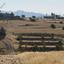 9365 SQM Land for sale in Vyzakia, Nicosia thumbnail 15602628