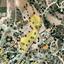 land for sale maroni larnaca 7961867 thumbnail 11447512