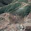 land for sale pigenia nicosia 8274867 thumbnail 15155845