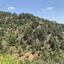 land for sale platanistasa nicosia 8003867 thumbnail 15596265
