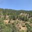 land for sale platanistasa nicosia 8003867 thumbnail 15596266