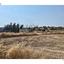 plot for sale kolossi limassol 8960867 thumbnail 17800066