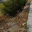 plot for sale parekklisia limassol 7508867 thumbnail 16716897