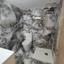 2 bedroom apartment for rent neapolis limassol 8785967 thumbnail 16661134