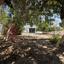 4 bedroom detached house for sale larnaca municipality larnaca 8428967 thumbnail 17664306