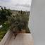 3 bedroom detached house for sale germasogeia limassol 8810077 thumbnail 17036765