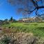 land for sale episkopi pafou paphos 8395077 thumbnail 15889550