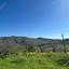 land for sale episkopi pafou paphos 8395077 thumbnail 15889554