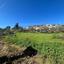 land for sale episkopi pafou paphos 8395077 thumbnail 15889557