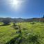 land for sale episkopi pafou paphos 8395077 thumbnail 15889560