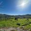 land for sale episkopi pafou paphos 8395077 thumbnail 15889572
