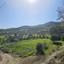 land for sale episkopi pafou paphos 8395077 thumbnail 15889575
