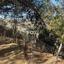 land for sale foini limassol 1910077 thumbnail 9653234