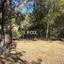 land for sale foini limassol 1910077 thumbnail 9653242