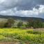 land for sale giolou paphos 8532177 thumbnail 16306466