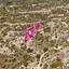 land for sale psematismenos larnaca 7872177 thumbnail 11384384