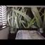 1 bedroom apartment for rent potamos germasogeias limassol 7592277 thumbnail 16340162