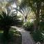 3 bedroom detached house for sale larnaca municipality larnaca 7906277 thumbnail 16635249