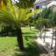 3 bedroom detached house for sale larnaca municipality larnaca 7906277 thumbnail 16635282