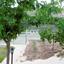 4 bedroom detached house for rent choletria paphos 1566277 thumbnail 16578698