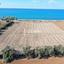 land for sale tombs of the kings paphos 7867277 thumbnail 13529432